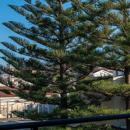 Alimar Semesterbostad Argostoli (Kefalonia)